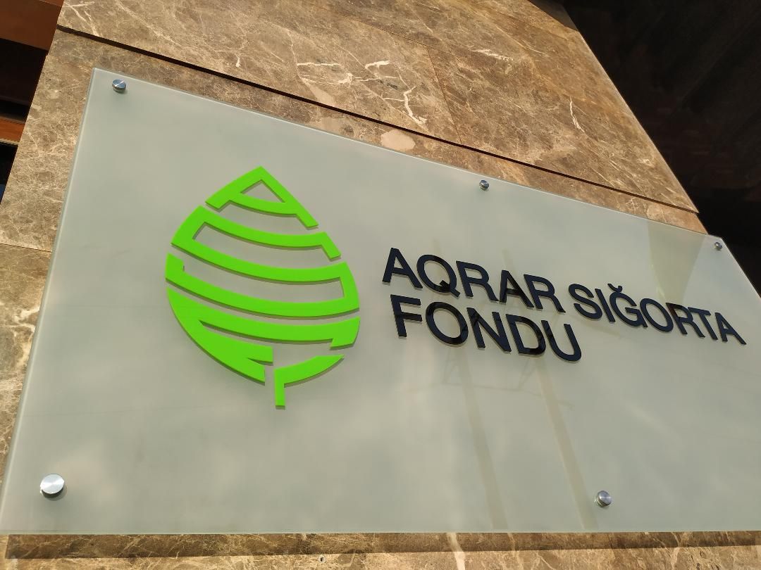 Azerbaijan's Agrarian Insurance Fund reports growth of its insured area of crops