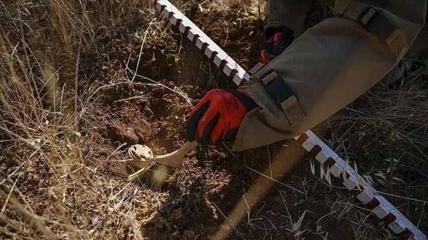 Nearly 45M square meters in Türkiye cleared of mines since 2015
