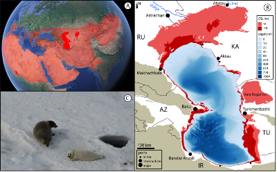 Caspian Sea coastal retreat alarms about new environmental threats