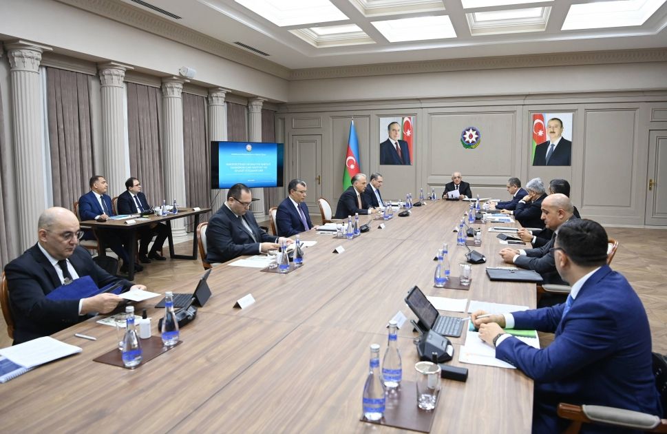 Azerbaijan's Economic Council holds regular meeting [PHOTO]