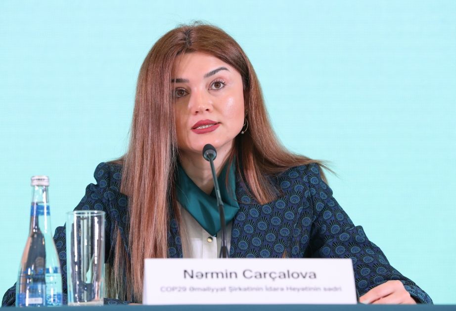 Azerbaijan to launch COP29 website this week