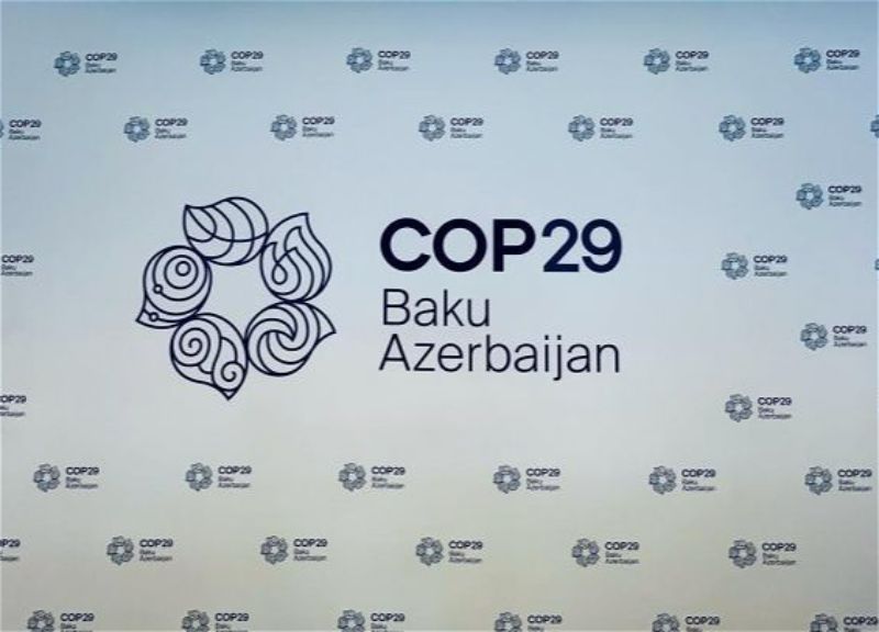 Unveiling of COP29 logo announces to public