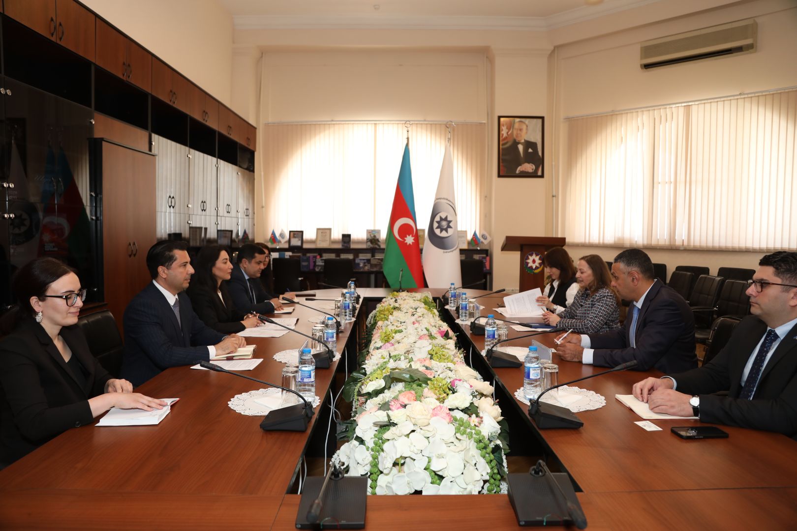 Azerbaijani Ombudsman meets with resident representative of UN Development Program