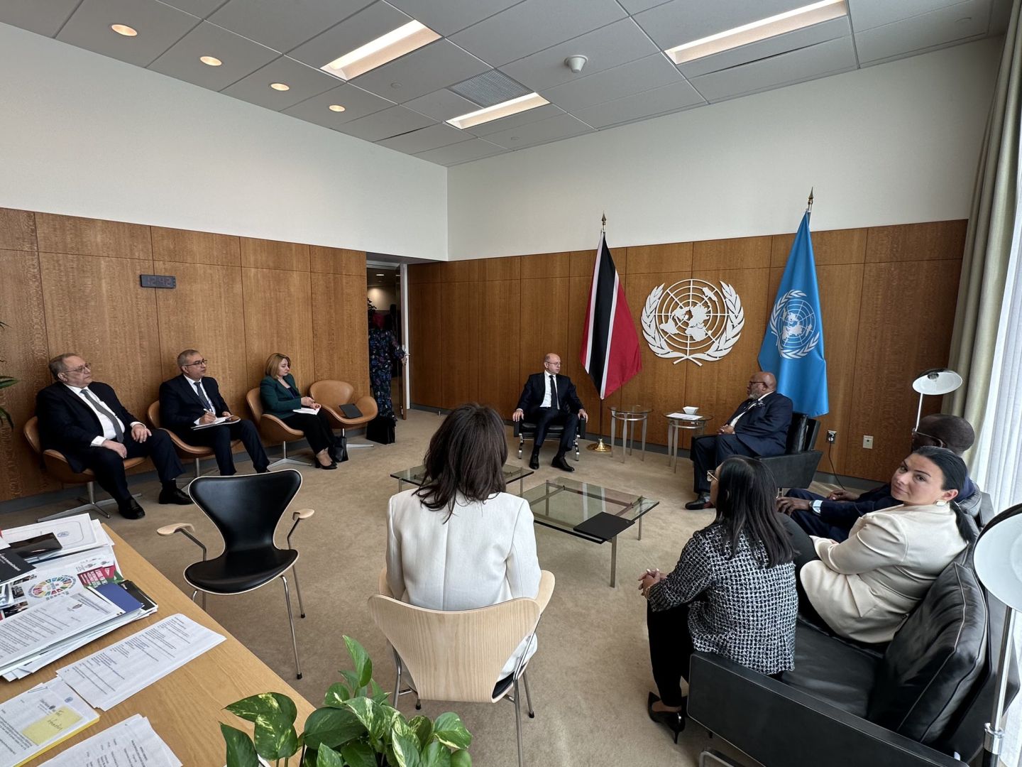 Azerbaijan and UN discuss green energy transition within COP29 [PHOTOS]