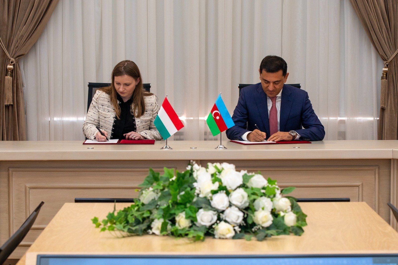 Azerbaijan-Hungary Energy Working Group holds meeting [PHOTOS]