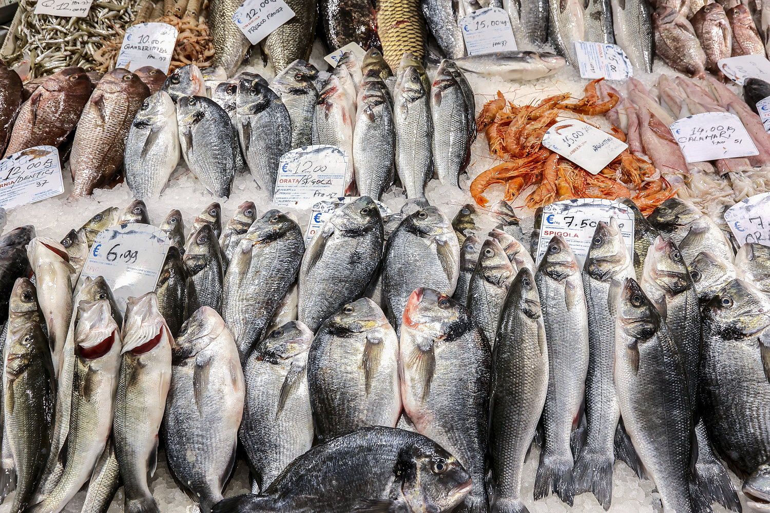 Export of Russian fish extended to 18 countries in 2023