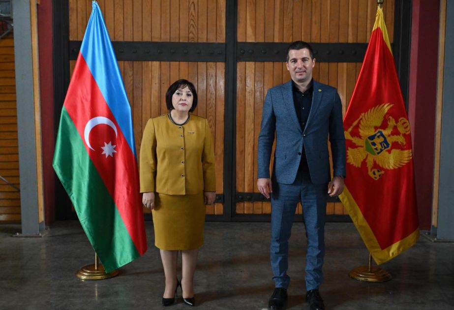 Relations between Montenegro, Azerbaijan are those of strategic partnership, Deputy Prime Minister says