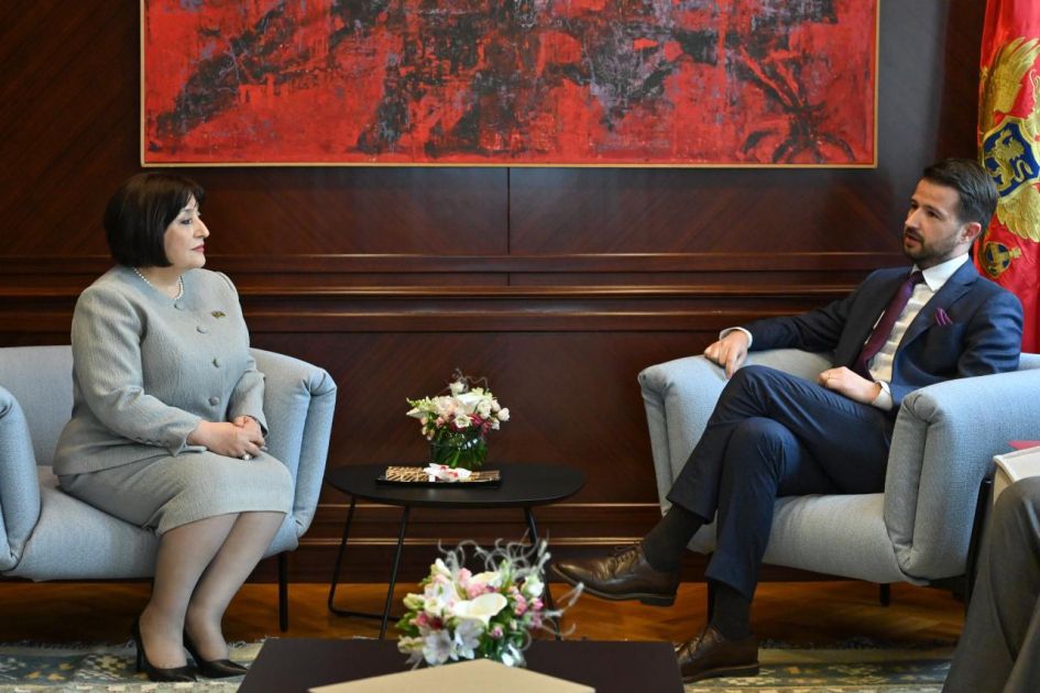 President of Montenegro: Azerbaijan is a friendly country for us [PHOTOS]