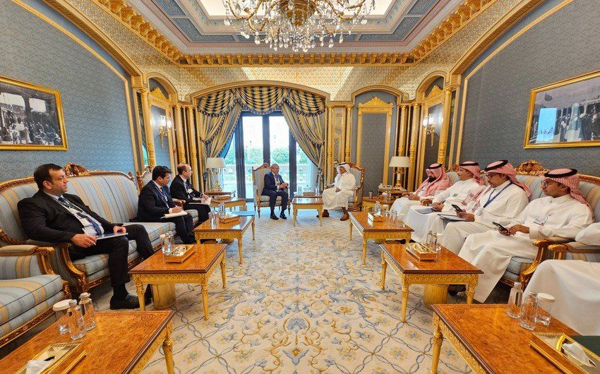Azerbaijani, Saudi Arabian ministers exchange views on economic development goals