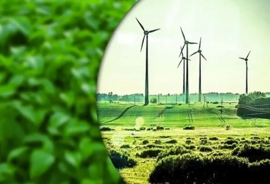 Azerbaijan has set itself goal of moving towards green energy