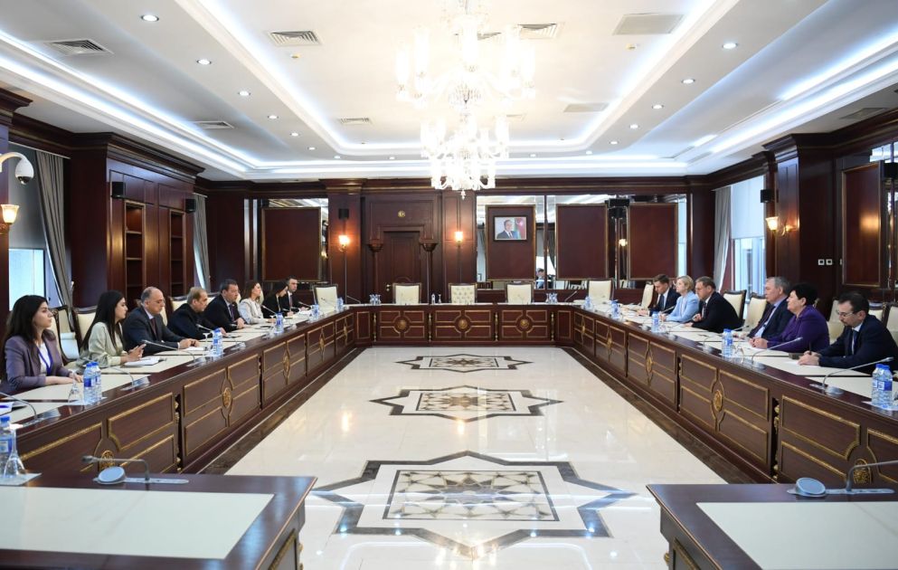 Deputy Speaker of Russian Parilament visits Milli Majlis [PHOTOS]