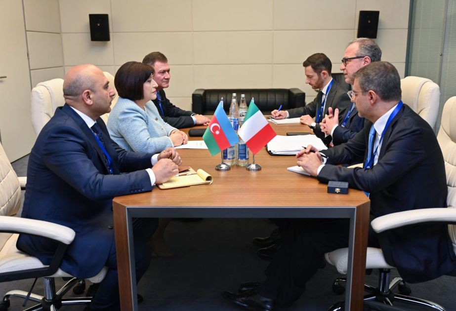 Speaker Gafarova meets with Vice President of Italian Chamber of Deputies