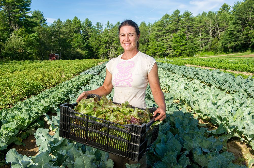 UN declares 2026 'International Year of Women Farmers'