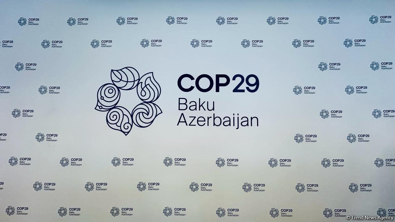 Permanent representatives to UN invited to COP29