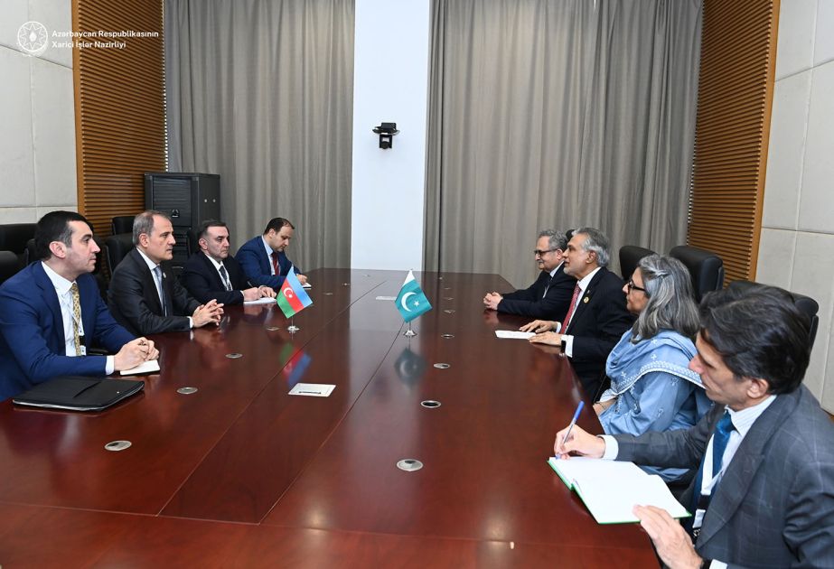 Azerbaijani FM meets with his Pakistani counterpart in Gambia