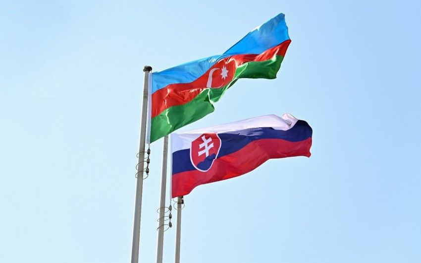 Azerbaijan, Slovakia sign two documents on cooperation