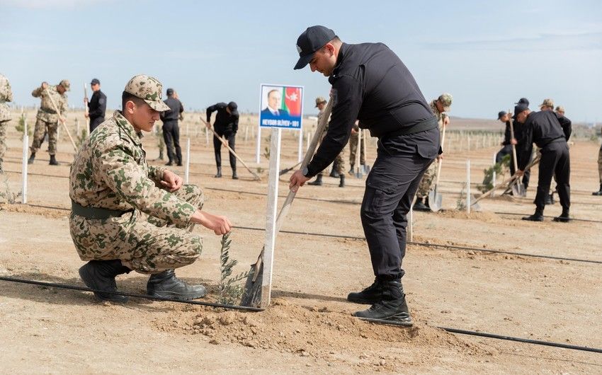 Tree-planting action held on occasion of National Leader Heydar Aliyev's birth anniversary [PHOTOS/VIDEO]