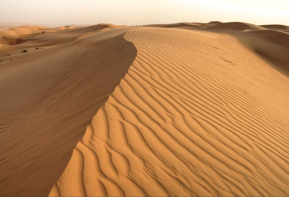Desert sand is unsuitable for construction