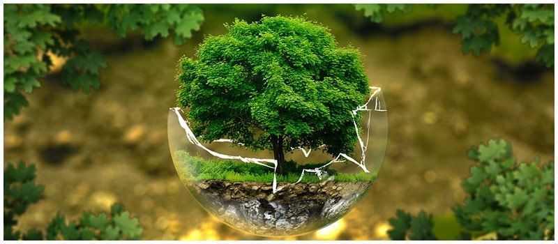 Goygol hosts forum on ecology and environmental conservation