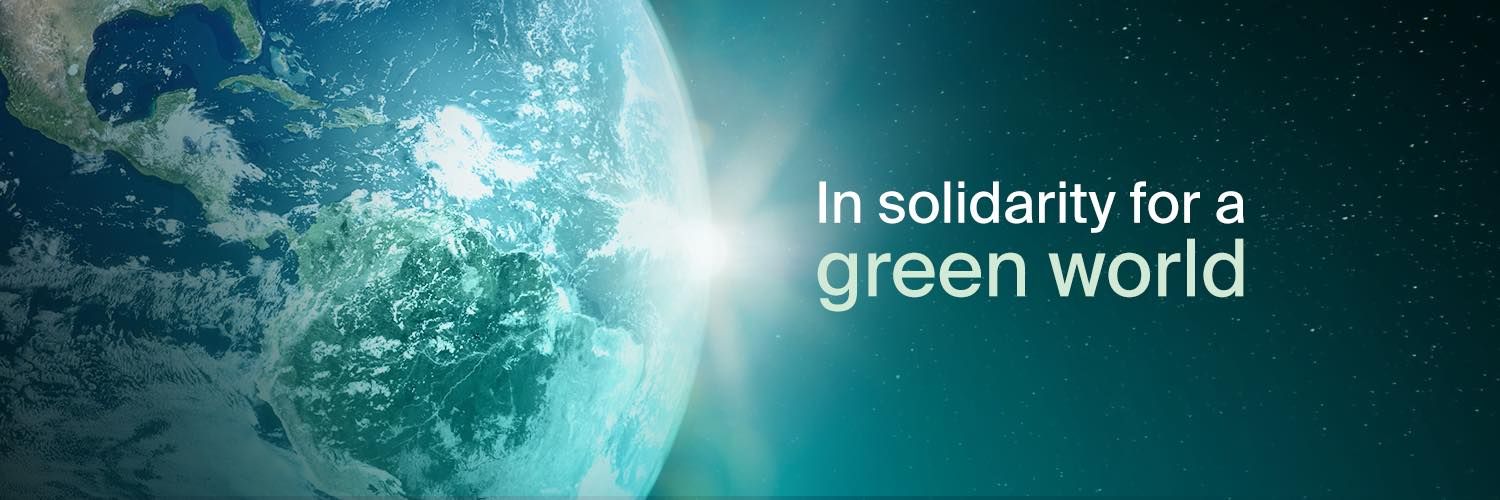 NGOs from 14 countries issue statement on welcoming Azerbaijan's COP29 activities