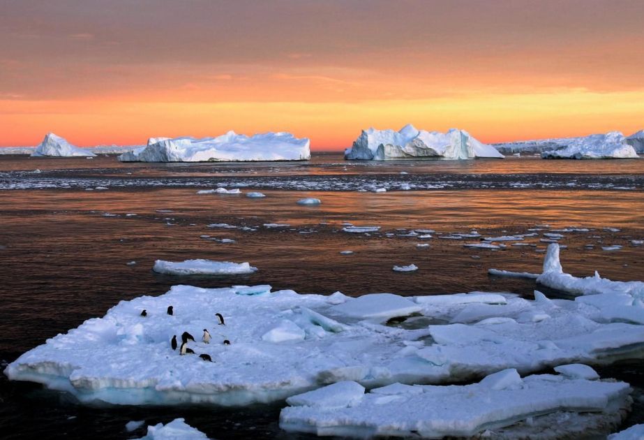 Scientists warn: Cleaner shipping fuel contributes to ocean warming