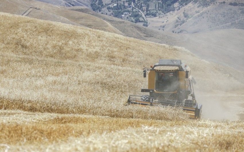 Azerbaijan sees growth in agriculture sector