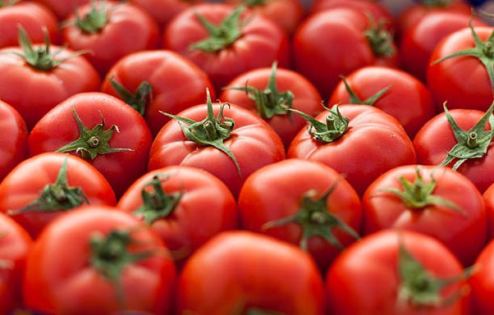 Tomato exports from Azerbaijan generate increased income