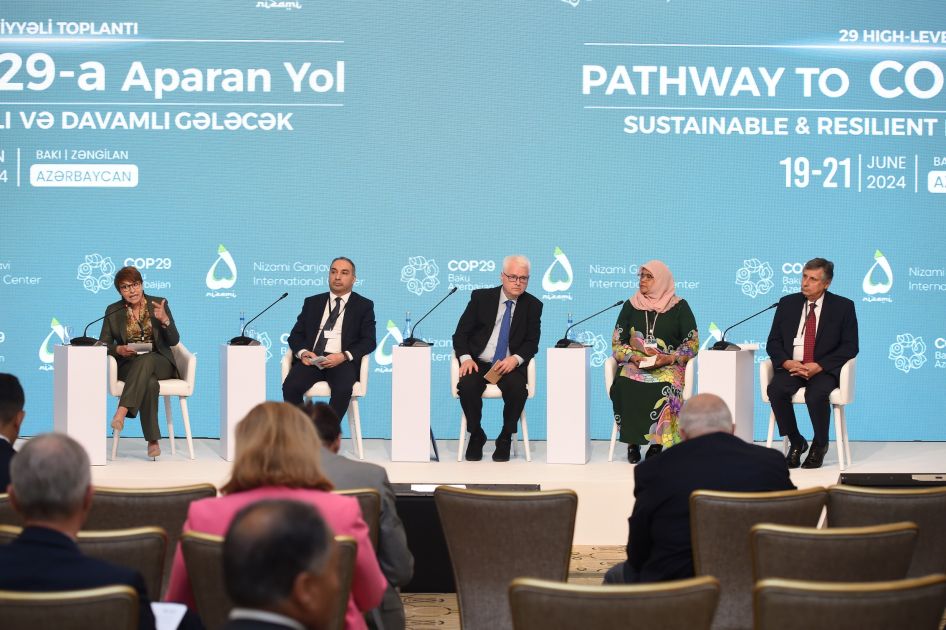 29th High-Level Meeting underway with discussion of featured topic [PHOTOS]
