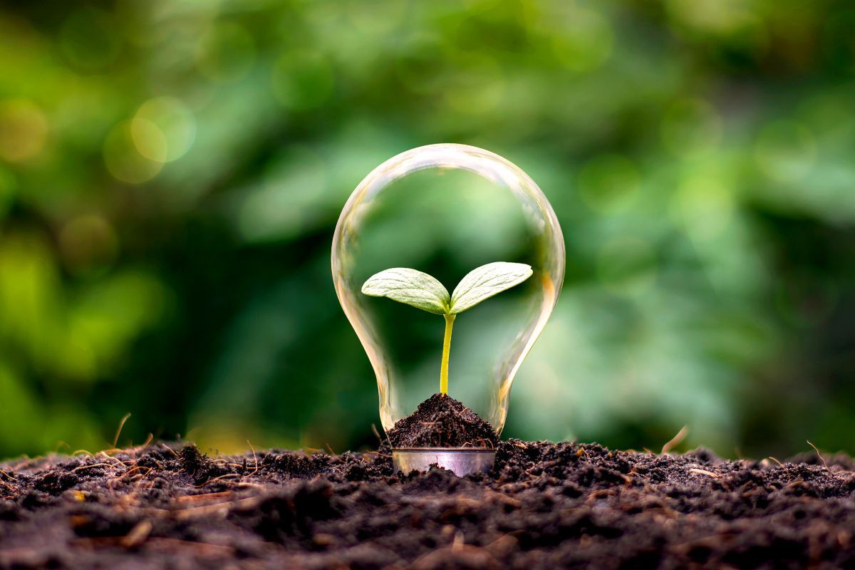 Driving Azerbaijan's green economic agenda: Empowering SMEs for sustainable development