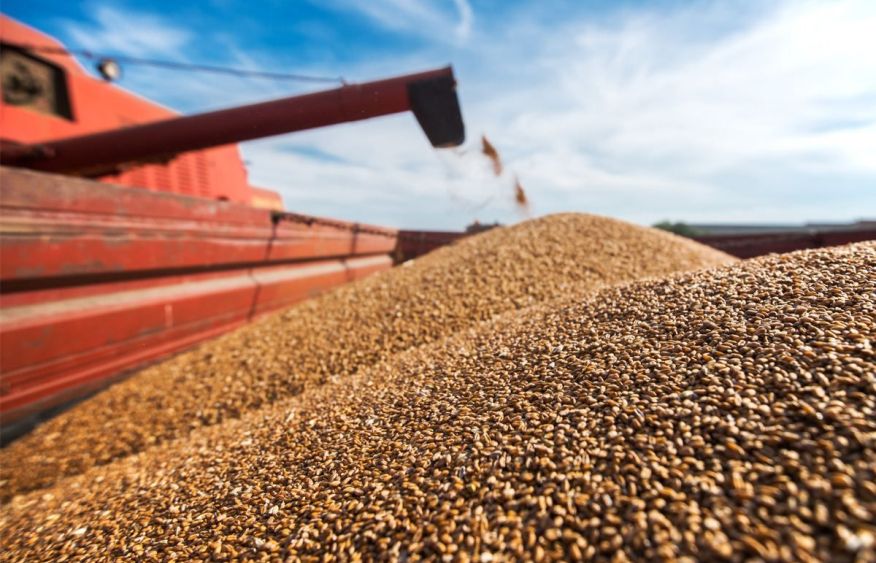 Kazakhstan limits wheat imports for six months