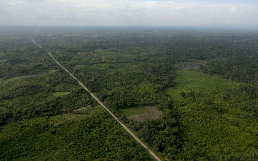 Panamanian authorities close 3 illegal crossings in jungle on border with Colombia