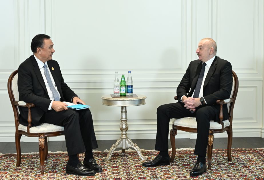 President Ilham Aliyev receives Secretary General of Organization of Turkic States [VIDEO]