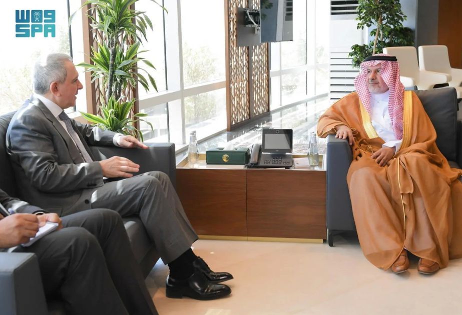 Azerbaijan, Saudi Arabia explore demining cooperation