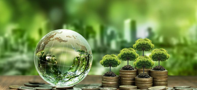 From energy strategy to global diplomacy: Azerbaijan's COP29 leadership amidst climate finance challenges [COMMENTARY]