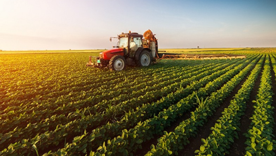 Azerbaijan raises insurance payments given to farmers