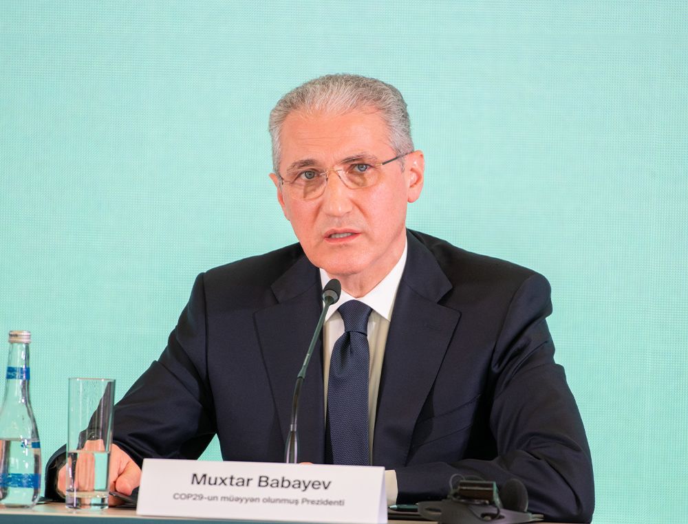 State support unlocks new opportunities for Azerbaijan's Green Economy: COP29 President-Designate