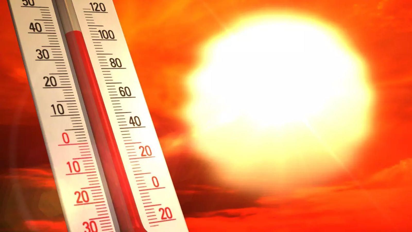 Turkiye records hottest summer since 1970, affecting millions