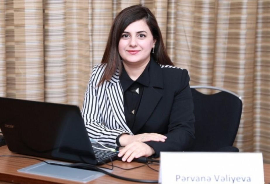 Int'l community praises Azerbaijan’s COP29 Presidency: Organizing committee member