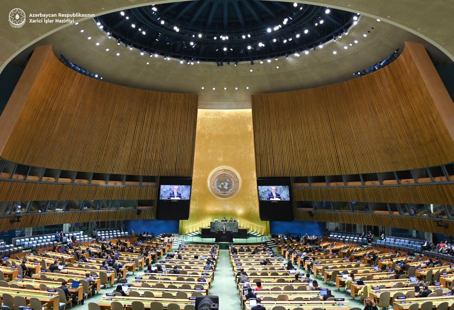 Azerbaijani FM addresses mine issue in Azerbaijan's liberated territories