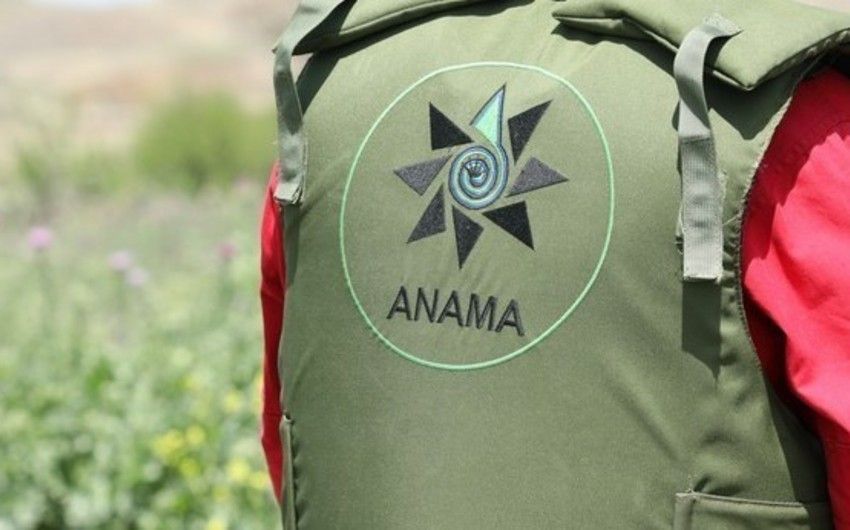 NATO's support for Azerbaijan's humanitarian demining activities discussed in Luxembourg