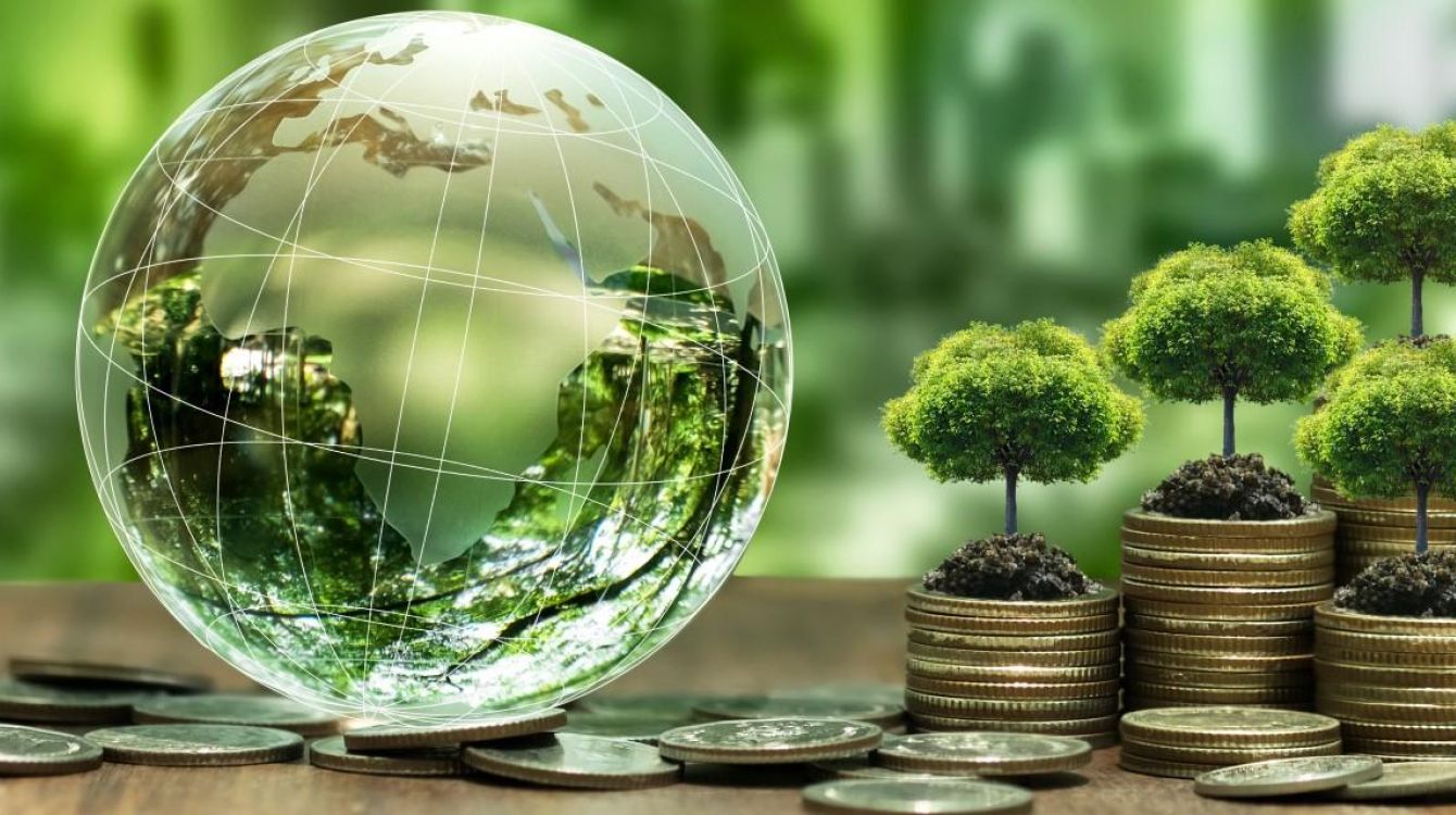COP29 Official: Raising climate finance target to $1 T is essential for effective global action