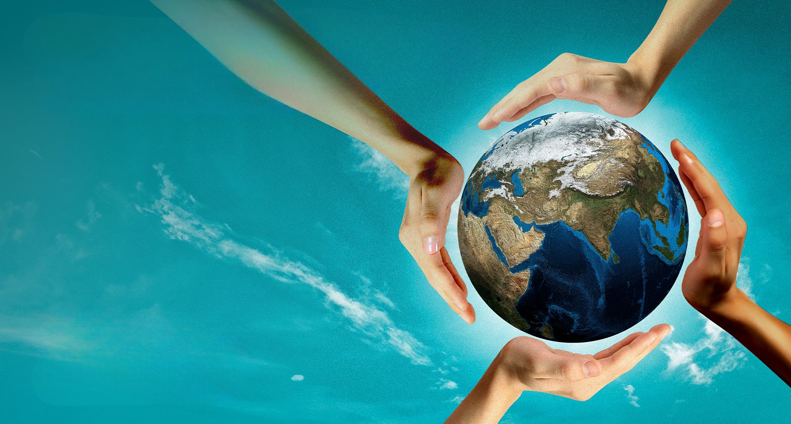 COP29: Pushing for climate action and peaceful truce