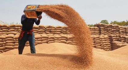 Kazakhstan resumes grain exports to Azerbaijan, sees 120-fold growth in supply