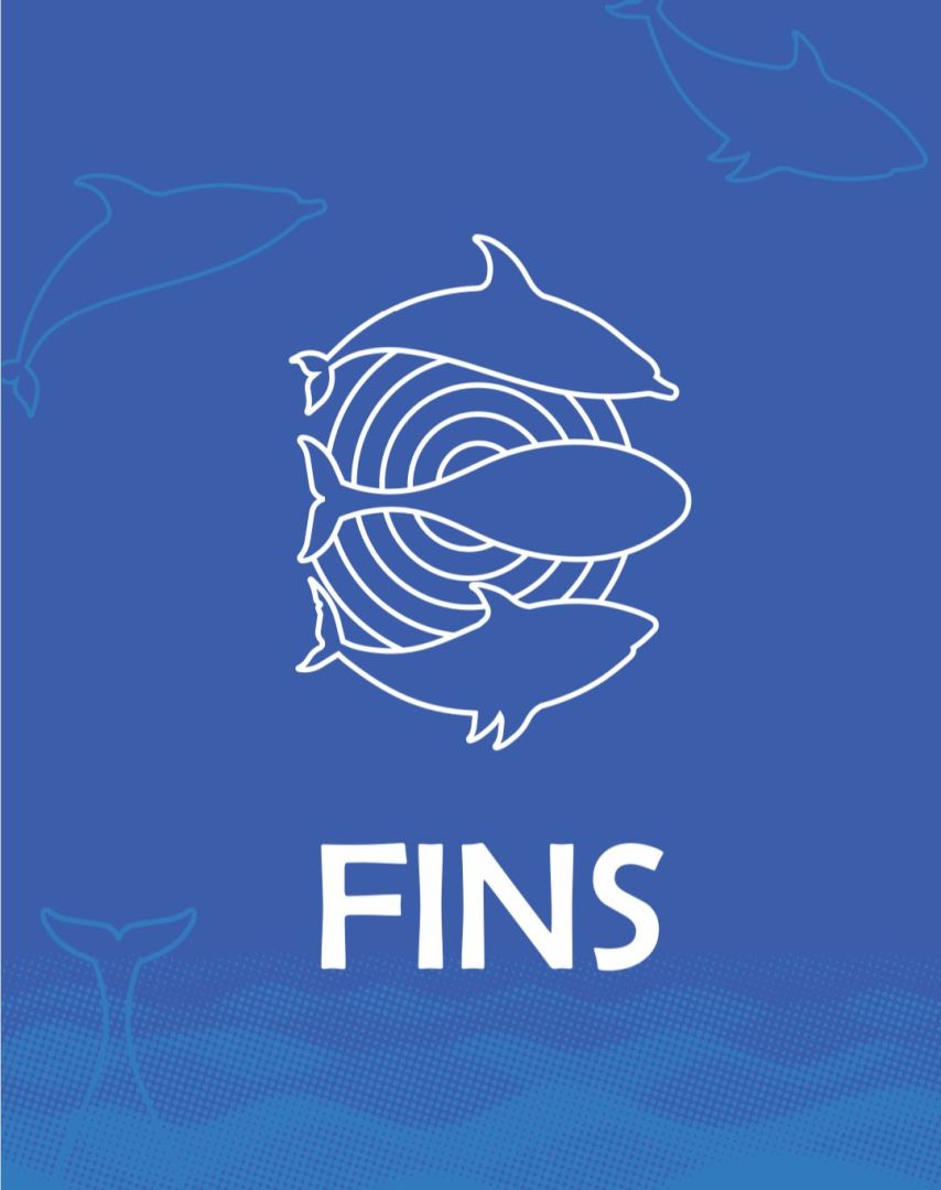 FINS Initiative at COP29: Deep Water Conservation and United Fight Against Climate Change