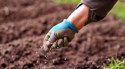 Fertilizer output drops as Azerbaijan's urea production declines