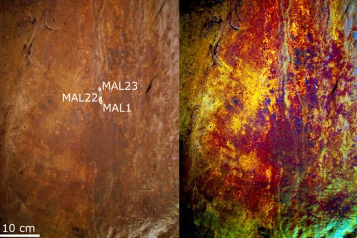 First artists in history might not be people at all
