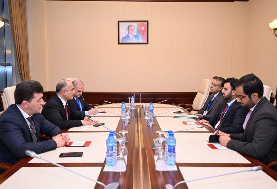Azerbaijan-Pakistan inter-parliamentary friendship groups exchange views