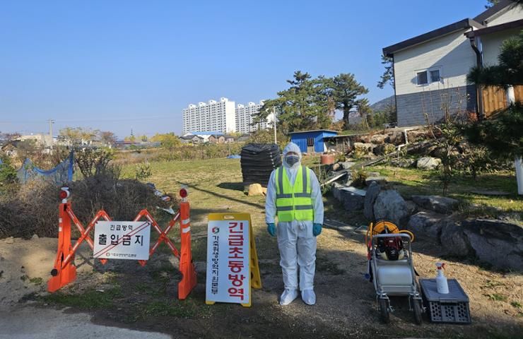 S. Korea reports additional avian influenza cases at regional farm