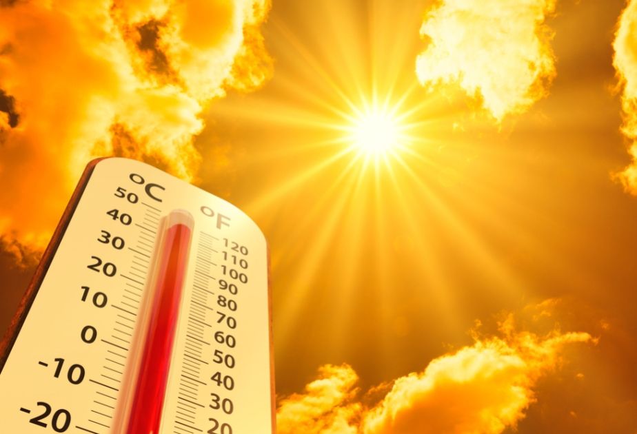 2024 recognized as warmest year in history