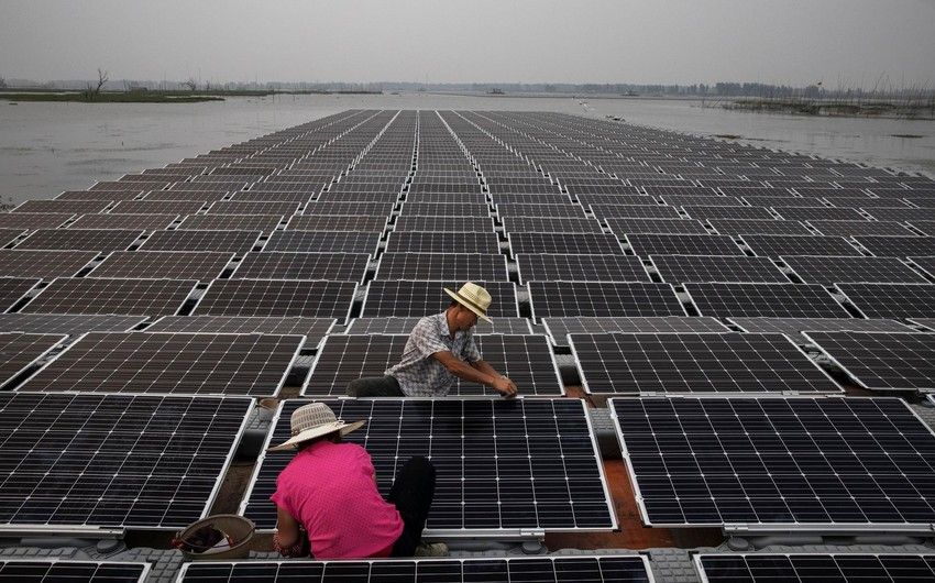 Tokyo wants to increase share of renewable energy